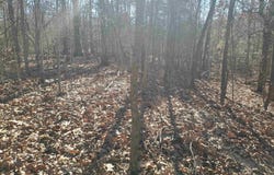 15776 Hwy 74 E Tract #1, Marshall, AR 72650-9999