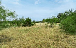 438 Hcr 2205, Aquilla, TX 76622