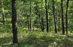 36501 Mohave Drive, Eldridge, MO 65463