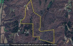 Holladay Rd, Parsons, TN 38363