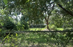 1802 E UNIVERSITY Avenue, GAINESVILLE, FL 32641