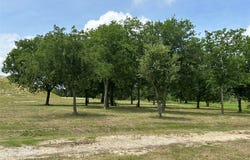1008 Bear Creek Ranch, Aledo, TX 76008