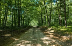 36 N Coe Road, Luther, MI 49656
