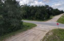 104 Gunner Ave, Interlachen, FL 32148