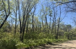 Parcel C USFS 5196, Baldwin, MI 49304