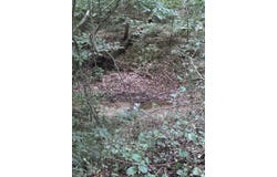 4430 Ben Lane, Walkertown, NC 27051