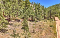 Cold Springs Rd, Nederland, CO 80466