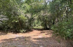 22045 131ST DRIVE, OBrien, FL 32071
