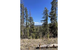 66 Piegan Ct, Red Feather Lakes, CO 80545