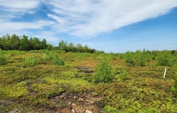 3 Whispering Berries Hill, Liberty, ME 04949