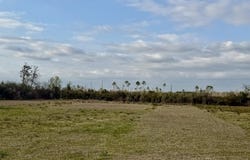 1 Bailey Ln, Mexico Beach, FL 32456