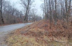 77 ALAMO Lane, FALLING WATERS, WV 25419