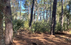 8366 Palmetto Road, Edisto Island, SC 29438