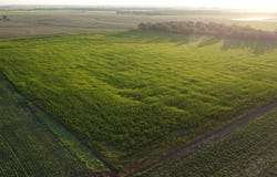W Boundary Rd, Pretty Prairie, KS 67570