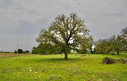 621 E FM 572, Goldthwaite, TX 76844