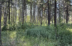 Highway 62, Chiloquin, OR 97624