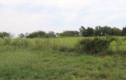 Rs County Road 3425, Emory, TX 75440