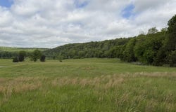 Northfork Village St. Lot 1, Tecumseh, MO 65760