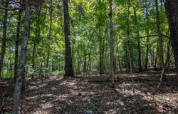 Riverbend Road lot: 13&14, Mammoth Spring, AR 72554