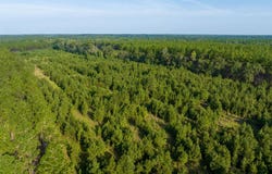 Lotus Rd, Holt, GA 31774