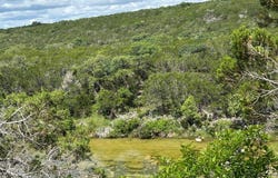 165 SW Cherry Springs Rd, Hunt, TX 78024