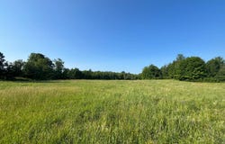 Austin Road #1, Antwerp, NY 13608