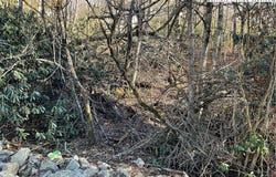 269 Greenbriar Road, Beech Mountain, NC 28604