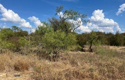 Ringo Court lot: 65 Blk 7, Runaway Bay, TX 76426