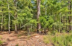 TBD (6) Manfred Road, Norman, AR 71960