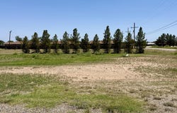 820 NORTH AVE S N Avenue, Post, TX 79356