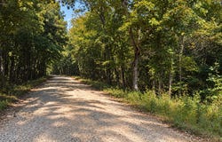 Forest Road 2539, Belleview, MO 63623