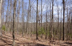 380 BARNSTAPLE DRIVE, DANIELS, WV 25832