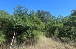 4500 PR, Normangee, TX 77871