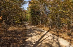 Thunder Ridge Road lot: 5, Richwoods, MO 63071
