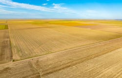 County Rd 33, Ovid, CO 80744