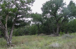 PR 42101 lot: 106, Evant, TX 76525