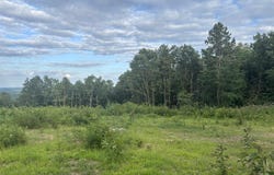 2095 Dry Mountain Road, Drasco, AR 72530