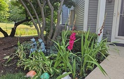 1826 Lucylle Court, St. Charles, IL 60174