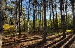 540th Lane, Palisade, MN 56469