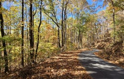 Confederate Drive, Clayton, GA 30525