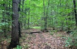 Boyd Pond Rd #11, Russell, NY 13684