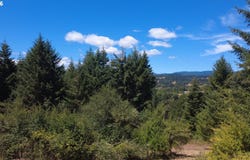 Cooper Hollow Rd, Dallas, OR 97338