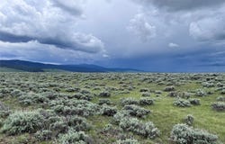 Tract 35 Monte Drive, Wisdom, MT 59761