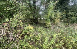 58.4 Acres Highway 33, Portage, WI 53901