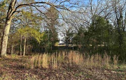 Midland Drive lot: 2 2361, Mena, AR 71953