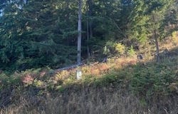 NNA Hwy 97, Harrison, ID 83833