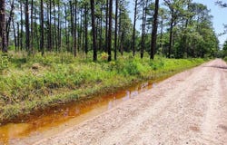 Johnson Road, Coden, AL 36523
