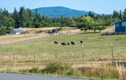 11 Les Saints, Sequim, WA 98382