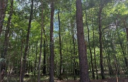 3 Samson Clements Loop Road, Berry, AL 35546