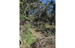 152 Helemano Dr, Bastrop, TX 78602